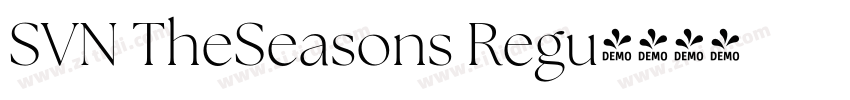 SVN TheSeasons Regu字体转换